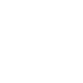 logo alt
